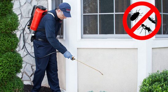 Sivaslı Bit İlaçlama böcek ilaçlama ve haşere kontrolü — ilaclama-tr.com